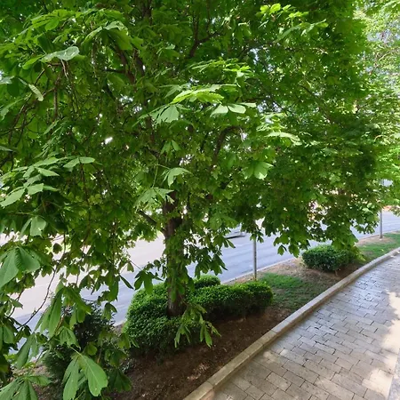 Bacci 2-bedroom By Litto Spalato